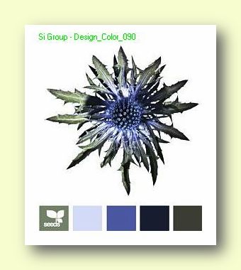 Вариант сочетания цветов в Дизайне №090