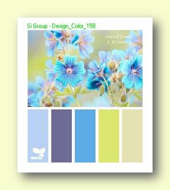 Вариант сочетания цветов в Дизайне №158