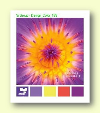 Вариант сочетания цветов в Дизайне №189