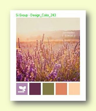 Вариант сочетания цветов в Дизайне №243