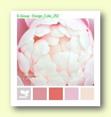 Вариант сочетания цветов в Дизайне №252