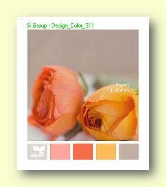 Вариант сочетания цветов в Дизайне №311